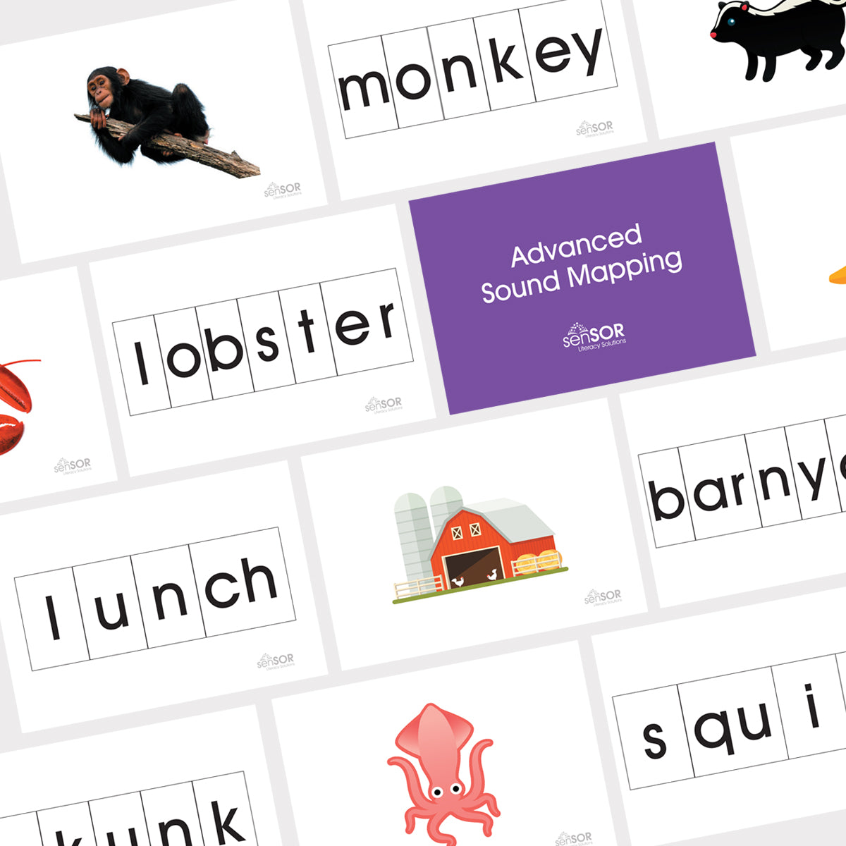 Sound Mapping Cards – SenSOR Literacy Solutions